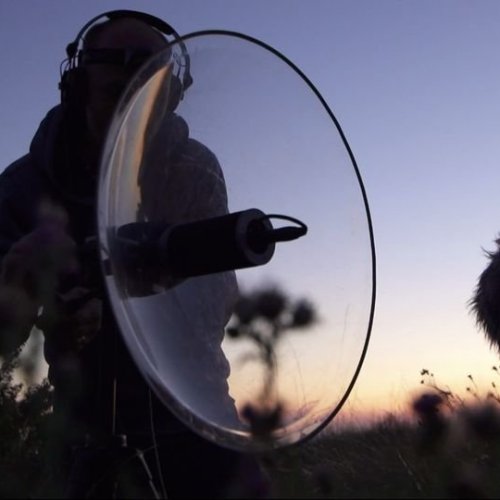 Soundscapes of Stromovka and its surroundings