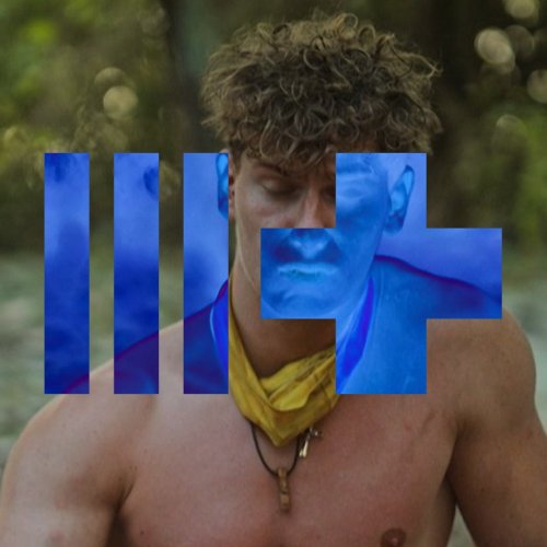 Survivor finals